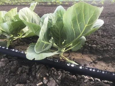 water dripping off hose